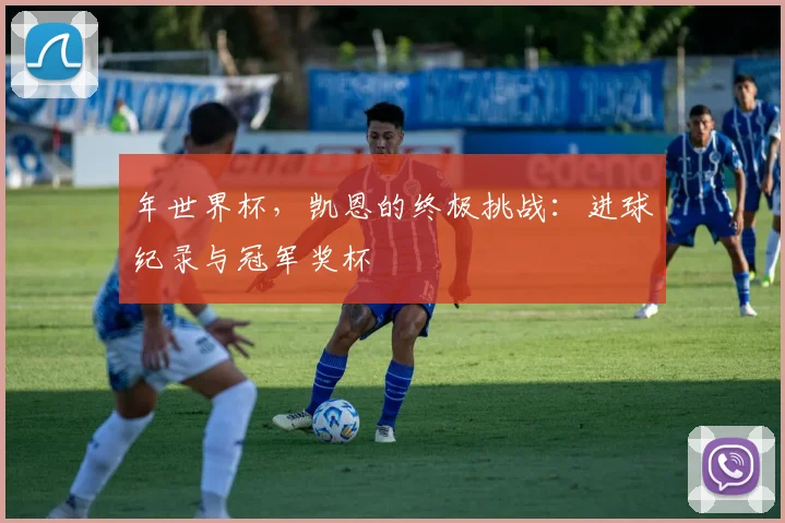 年世界杯，凯恩的终极挑战：进球纪录与冠军奖杯