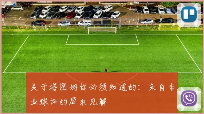 关于塔图姆你必须知道的：来自专业球评的犀利见解